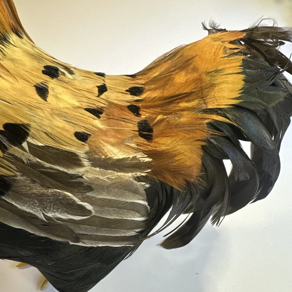 Realistic Rooster Figure Real Feathers Farmhouse Chicken Decor Country